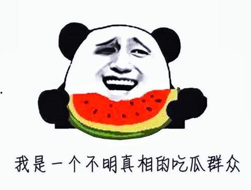 娱乐圈吃瓜明星代号是谁,代号“瓜王”的神秘明星