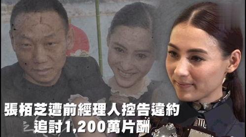 吃瓜娱乐鬼怪,鬼怪世界的娱乐风云