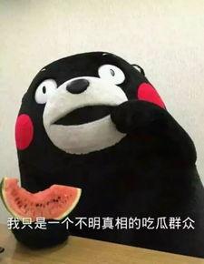 喵星娱乐吃瓜群众,吃瓜群众视角下的宠物界八卦