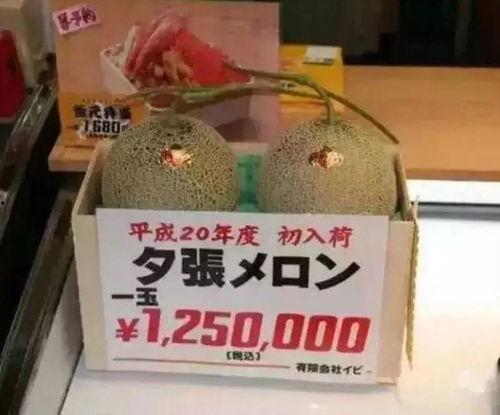 娱乐吃瓜大ip,揭秘吃瓜大IP背后的娱乐帝国
