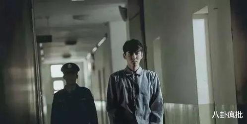娱乐吃瓜007,揭秘网红圈层，追踪最新八卦动态