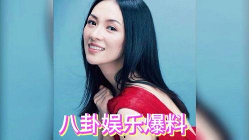 吃瓜娱乐圈综艺小说,吃瓜明星的逆袭之路