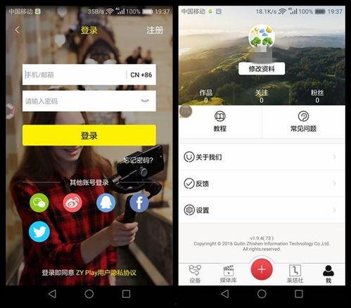 喵星娱乐吃瓜群众视频,吃瓜群众视角下的喵星生活趣事