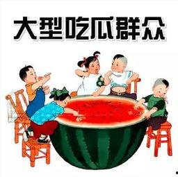 娱乐吃瓜菌讲中式教育,吃瓜菌视角下的甜蜜苦涩
